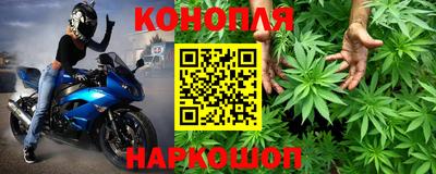 прущие крисы Апшеронск